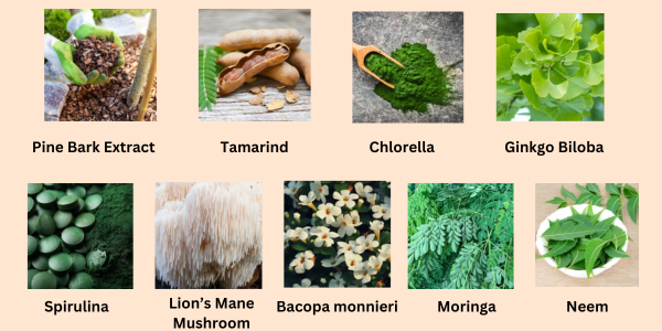 Pineal Guardian Ingredients - InMyBowl Pineal Guardian Ingredients